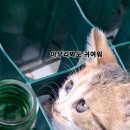 잠시 이미지