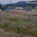 장동계족산농촌체험휴양마을 이미지