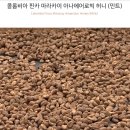 디코드 이미지