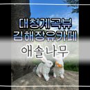 애솔나무