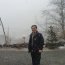 오리궁디 이미지