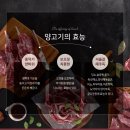 젠틀램 이미지