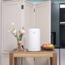 매월4로2L | 음식물쓰레기처리기 직접 써보고 느낀 차이