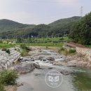 장자골마을 이미지