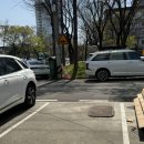 주동물병원 | 울산 남구 삼산동 전신마사지 내돈내산 솔직후기
