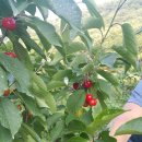 백곡농장 이미지