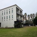 뽀송뽀송 세탁하우스 | 제주 애월의 핫플레이스, 파티와 힐링을 한 번에 즐기는 제주도 게스트하우스 끌림 365 혼여 후기