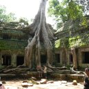 캄보디아.....세계 7대 불가사의 앙코르왓 이미지