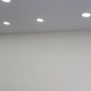 애견멀티샵 이미지