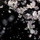 비발디봄부동산공인중개사사무소 이미지