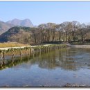 보보스캇 캠핑장 이미지