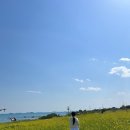 케이닥 푸드