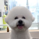 루앤오 이미지