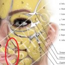 세종톡스앤필의원 이미지