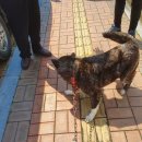 한일목욕탕 이미지