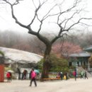 보문사약수터 Daum카페