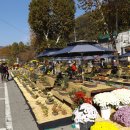 동두천-007 이미지