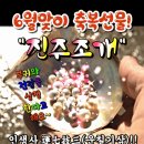 6월맞이 축복선물 전송합니다 이미지