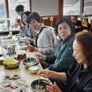 1박2일 | 제주도 쏠라티 대절 기사포함으로 편하게 다녀온 1박2일 후기