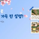 제물량로 이미지