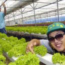 김기수 농장 이미지