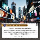 [미국 동부 여행] '파란여행' 뉴욕+워싱턴 3박4일 여행후기 (2026.06.18)