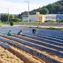 운곡면사무소 이미지