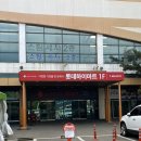 롯데마트 시화점 | 롯데마트 시화점 한식뷔페 &lt;로뎀나무&gt; 내돈내산