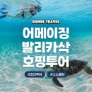 인하트래블 - 당진시 상거중앙길 47-86 | 보홀 여행 필수 코스 : 두잇트래블 발리카삭 호핑투어 20% 할인 혜택