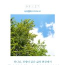 김집사 이미지