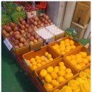 웰빙과일야채