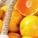 김정현 농장 이미지