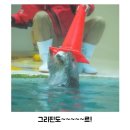 학성사
