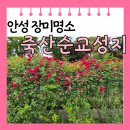 죽산 | [안성 일죽면] 장미 명소 죽산 순교성지 5월 개화현황 후기 주차장