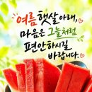 매의 눈 이미지