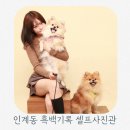 인계동 175-5 ~ 인계동 163 | 수원 인계동 셀프사진관 추천 인계동 흑백기록 다녀온 후기