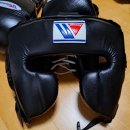 스폰지캐럿 이미지