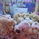 뽀꾸뽀꾸 이미지