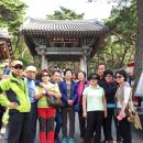 용호초교 이미지