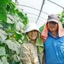 이병철농장 이미지