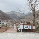 산책가는길 이미지