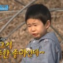 수미담 이미지