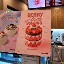 설빙남양주 | 설빙 신메뉴 생딸기초코케이크설빙 후기 빙수인지 케이크인지 헷갈리네?