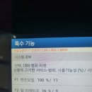 디아우토