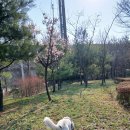 한들방죽공원 이미지