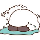 버디(BUDDY)