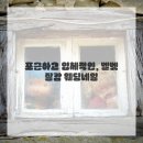 비단네일