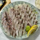 광양 신상 횟집 중마동 참돔 마스까와 맛집, 청춘사시미