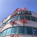하봉 | 매 년 방문하는 또또또간집 영일대 회 대게 포항 현지인맛집 하봉석회대게타운 솔직후기