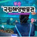 국립해양박물관 화장실(외부) | 부산 실내 데이트 국립해양박물관 입장료부터 수족관까지
